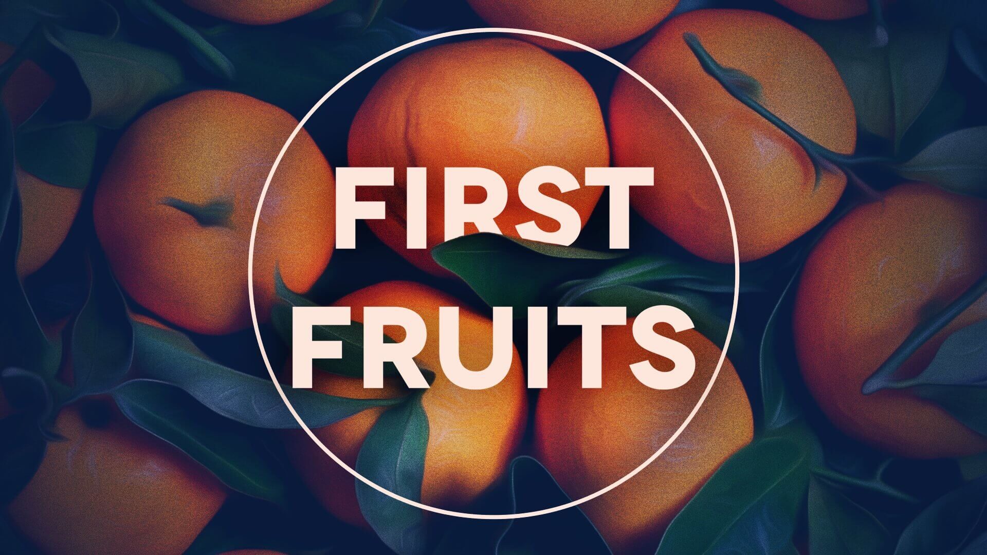 First Fruits img